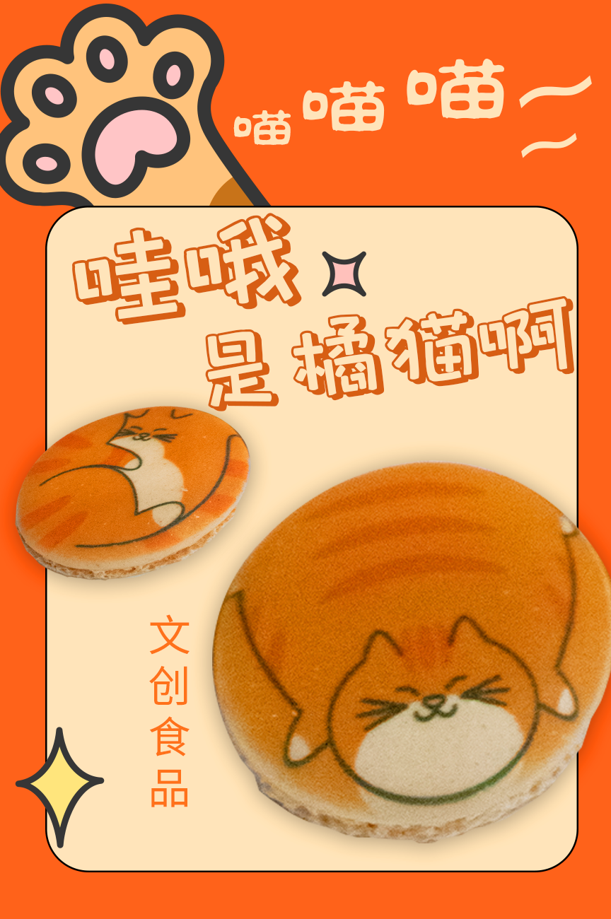 橘猫文创食品.png